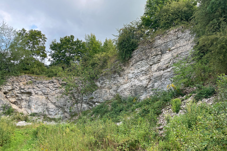 Steinbruch Schlangen