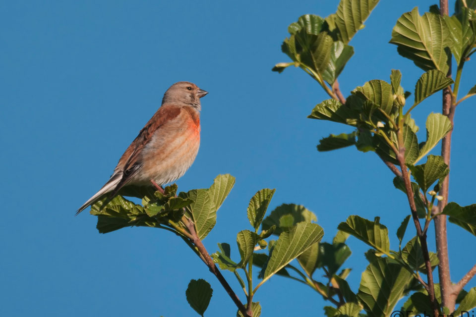 Gewerbegebiet Rahden-West