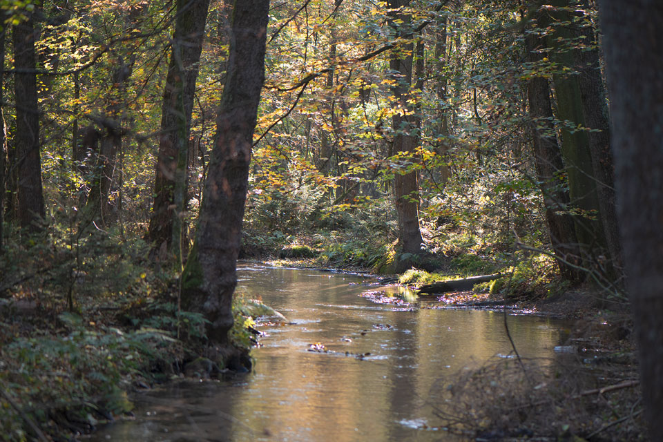 GEWÄSSER & GRUNDWASSER